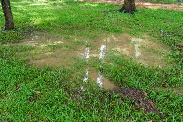 Storm Water Drainage Service in Oshkosh