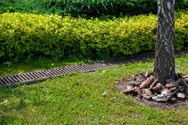 Residential Landscape Drainage in Oshkosh